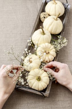 How to make floral decoration with white pumpkins called baby bo clipart
