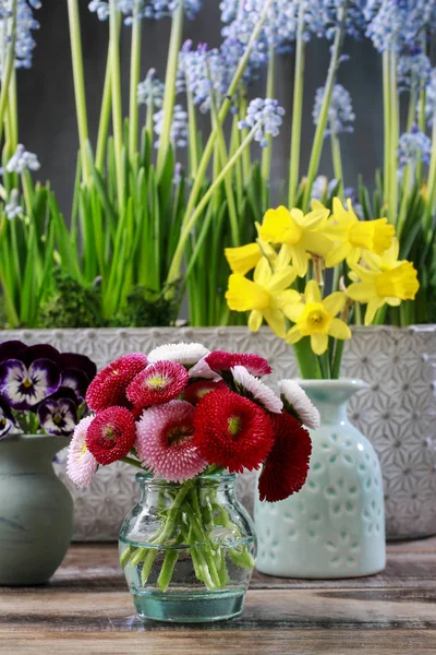 Disposizione floreale con fiori primaverili — Foto Stock