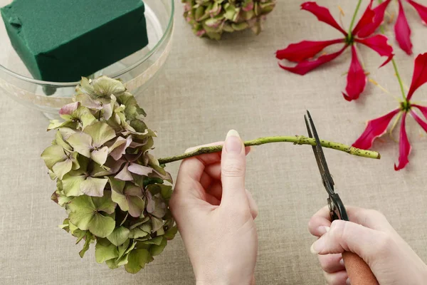 Hoe maak je bloemen regeling met gloriosa superba, roos, hort — Stockfoto