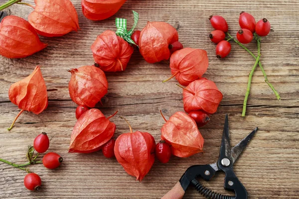 Physalis alkekengi-krans – stockfoto