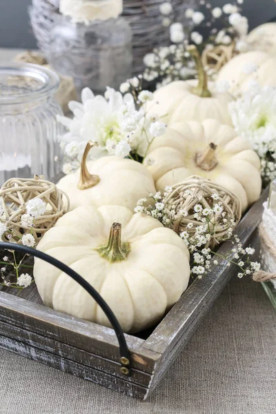 Decoración floral con calabazas blancas llamada baby boo — Foto de Stock