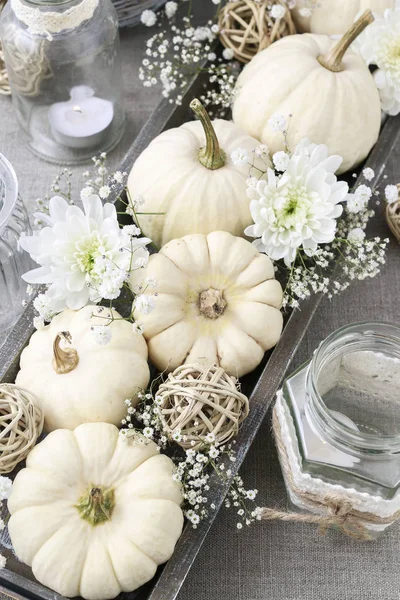 Decoración floral con calabazas blancas llamada baby boo —  Fotos de Stock