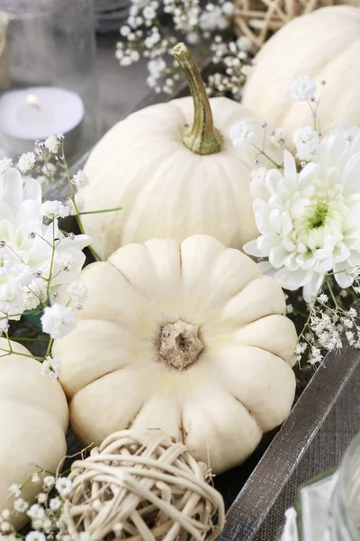 Floral decoration with white pumpkins called baby boo