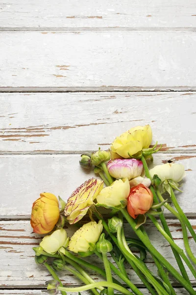 Colorful persian buttercup flowers (ranunculus) on wooden backgr — Stock Photo, Image