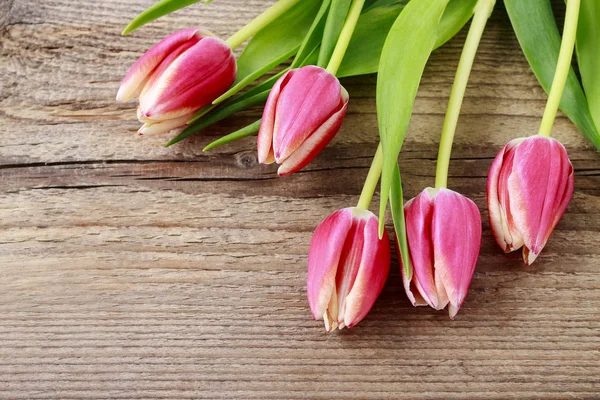 Belas tulipas rosa no fundo de madeira — Fotografia de Stock