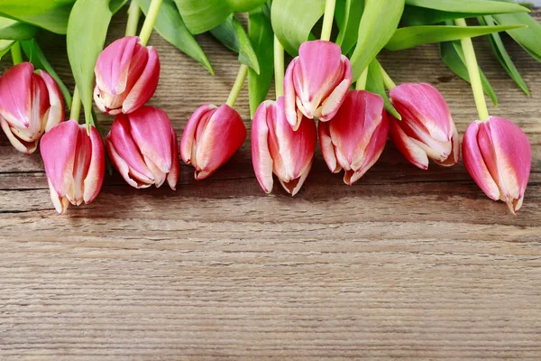 Belas tulipas rosa no fundo de madeira — Fotografia de Stock