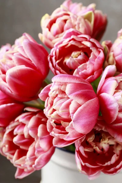 Bouquet of pink tulips — Stock Photo, Image