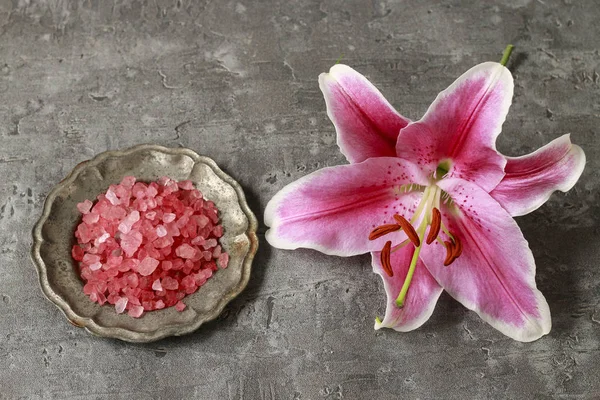 ピンクと赤のユリの花. — ストック写真