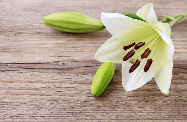 Witte lelies op hout — Stockfoto