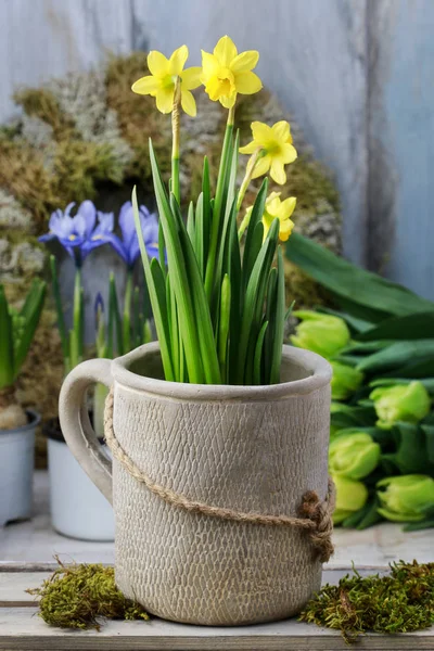 Mieszankę wiosennych kwiatów i proste ozdoby wielkanocne. Scilla sibe — Zdjęcie stockowe
