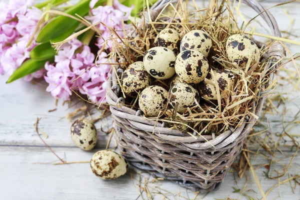 Wicker basket with quail eggs — Stock Photo, Image