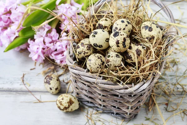 Cesta de mimbre con huevos de codorniz —  Fotos de Stock