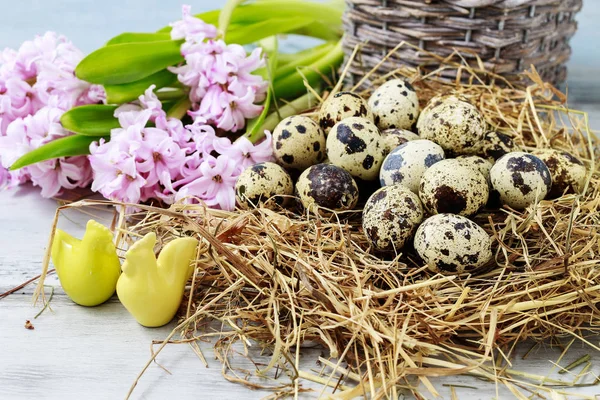 Wicker basket with quail eggs — Stock Photo, Image