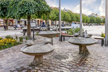 Kuşlar için sulama yer