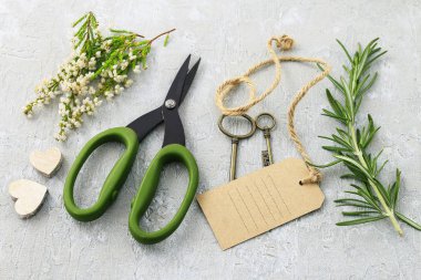 Çiçekçi işyeri: bitkiler ve aksesuarları Grey