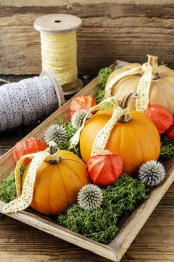 Nasıl pumpkins, yosun ve physalis ile ev dekorasyon yapmak tut