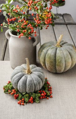 Yeşil kabak kırmızı meyveler (dağ muşmulası yatay ile dekore edilmiştir.