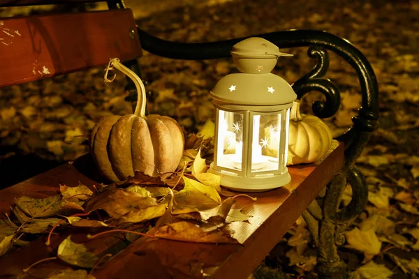 White lantern and orange pumpkins on wooden bench in the garden. — Stock Photo, Image