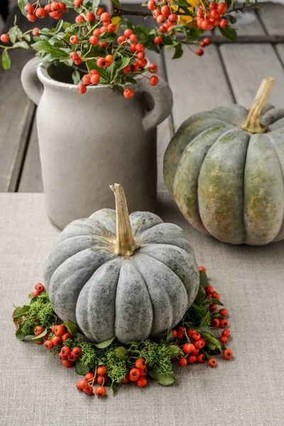 Green pumpkin decorated with red berries (cotoneaster horizontal — Stock Photo, Image
