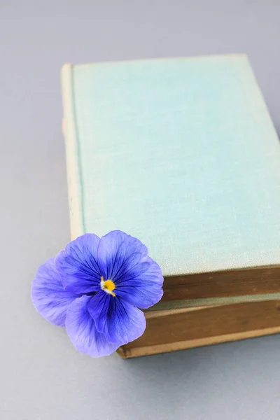 Montón de libros y flores de pansy — Foto de Stock