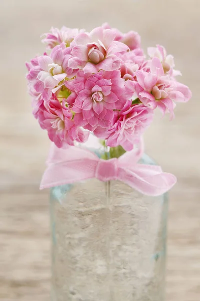 Belo buquê minúsculo de flores rosa kalanchoe blossfeldiana — Fotografia de Stock