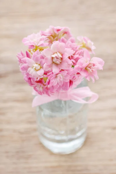 Beautiful tiny bouquet of pink kalanchoe blossfeldiana flowers — Stock Photo, Image
