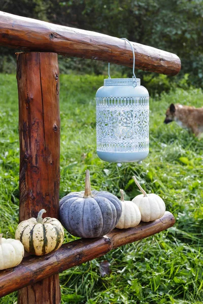 Blauw vintage lantaarn opknoping op houten schutting in de tuin. — Stockfoto