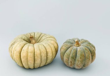 Gri arka plan üzerinde izole iki büyük kabak