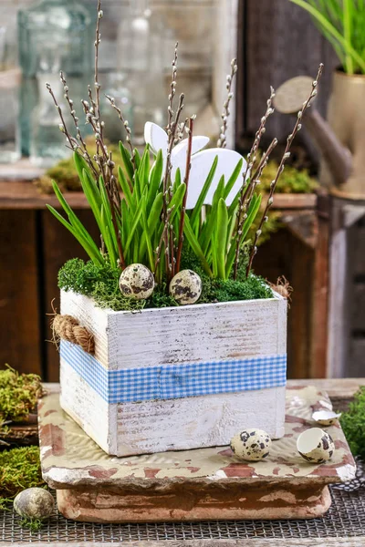 Boîte en bois avec fleurs printanières . — Photo