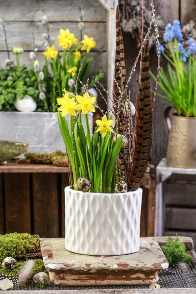 Boîte en bois avec fleurs printanières . — Photo