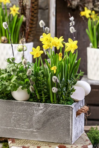 Trälåda med vårens blommor. — Stockfoto