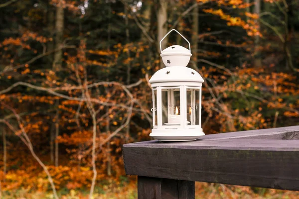 White lantern at the wooden pier in autumn wetland forest. — Stock Photo, Image