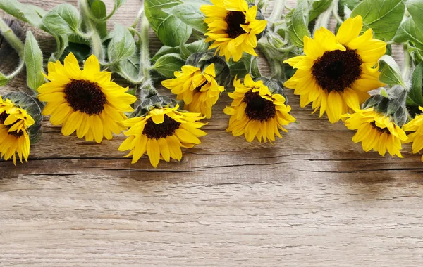 Sonnenblumen auf Holzgrund — Stockfoto