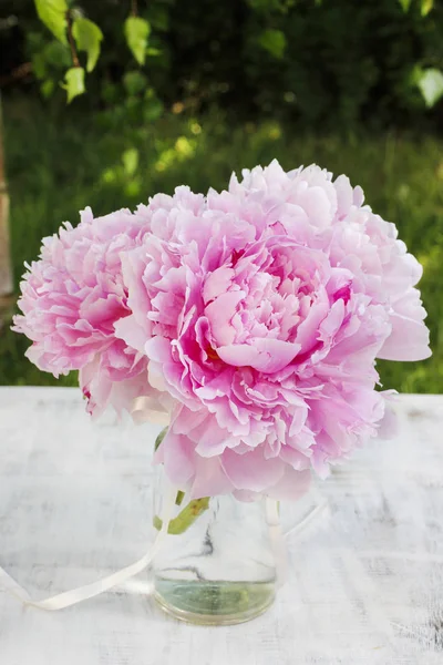 Buquê de peônias rosa no jardim — Fotografia de Stock