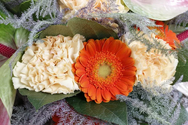 Blumenhintergrund mit Gerbera und Nelkenblüten. — Stockfoto