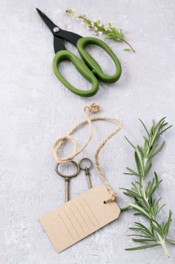 Çiçekçi işyeri: bitkiler ve gri taş aksesuarlar