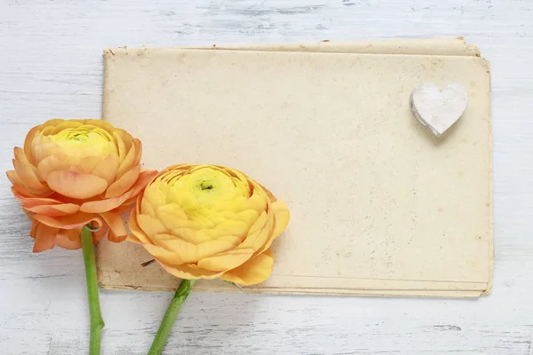 Vintage vel papier en ranunculus bloemen — Stockfoto