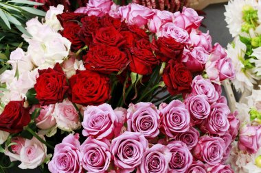 Kırmızı ve pembe güller