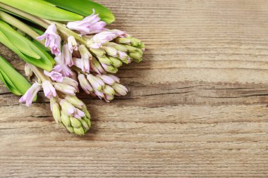 Ahşap üzerine sümbül çiçek