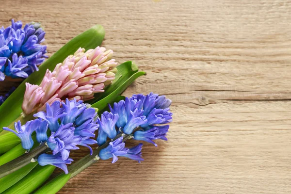 Hyazinthenblüten auf Holzgrund — Stockfoto