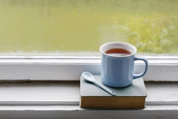 Kubek gorącej, parze herbaty — Zdjęcie stockowe