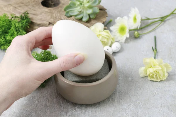 ガチョウの卵、カーネーション、スプレーマム フラワーアレンジメントの作り方 — ストック写真