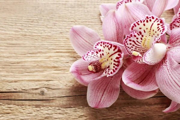 Schöne rosa Orchideenblüten auf Holz — Stockfoto