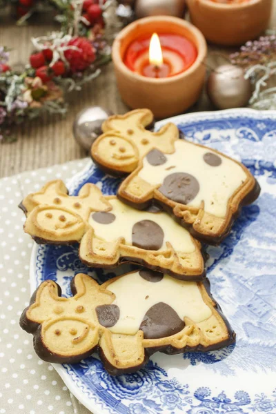 暗くおよび白いチョコラで飾られた牛形で面白いクッキー — ストック写真