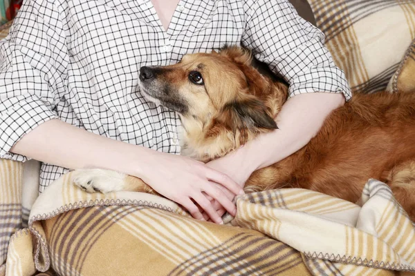 Young woman sitting on the sofa with her cute dog — Stock Photo, Image