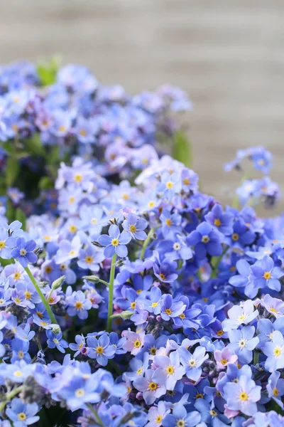 Vergeet mij, geen bloemen.. — Stockfoto