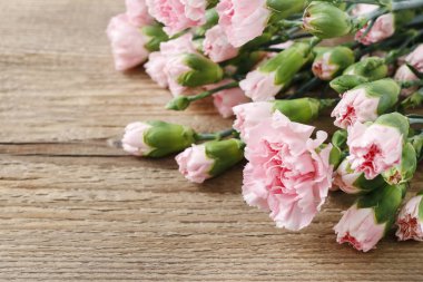 ahşap arka plan üzerinde izole pembe karanfil