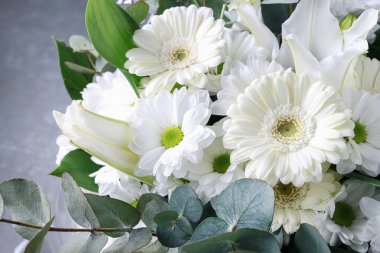 Beyaz gerbera çiçekleri, krizantem ile çiçek arka plan ve