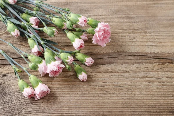 Pink carnation isolated on wooden background — Stock Photo, Image