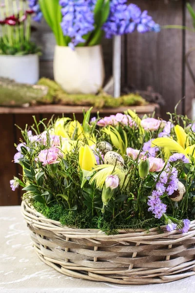 Korg med påskliljor, nejlikor och buxus — Stockfoto